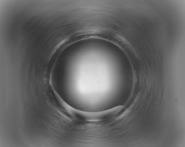 X0000062881210200601131300