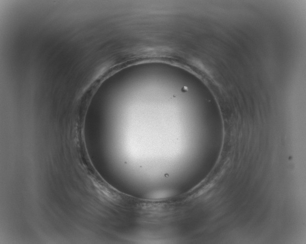 X0000062881211200601131300