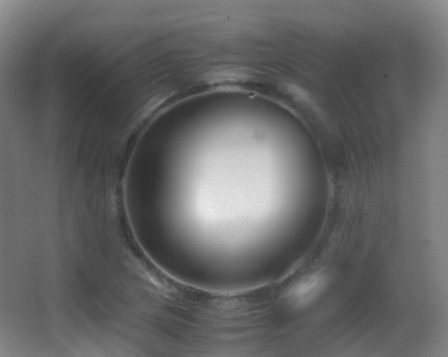 X0000062881217200601131300
