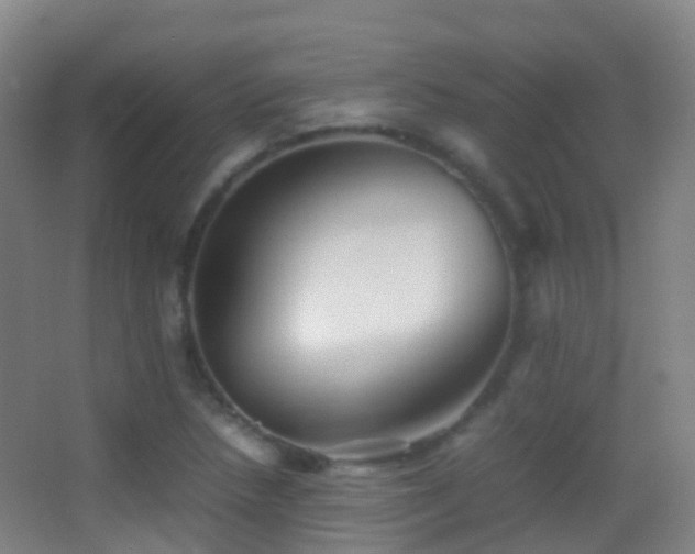 X0000062881218200601131300