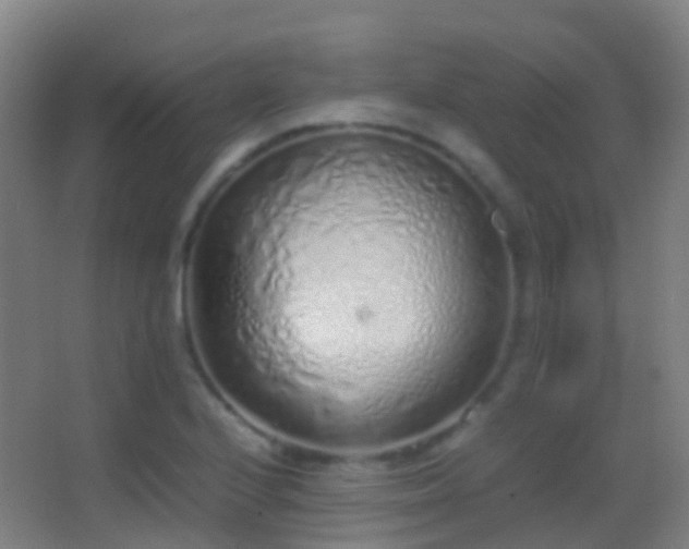 X0000062881224200601131300
