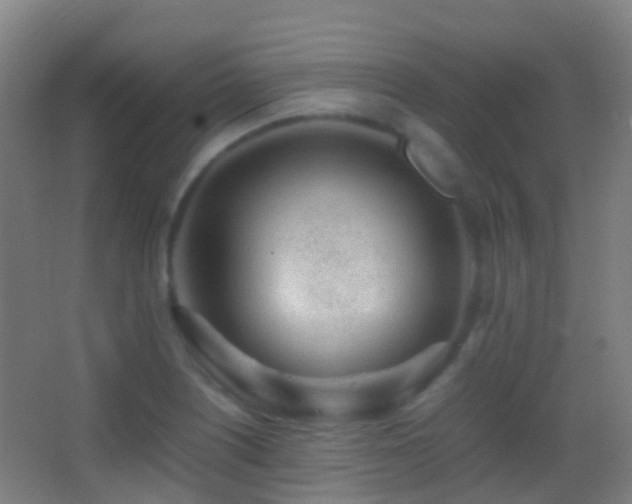 X0000062881226200601131300