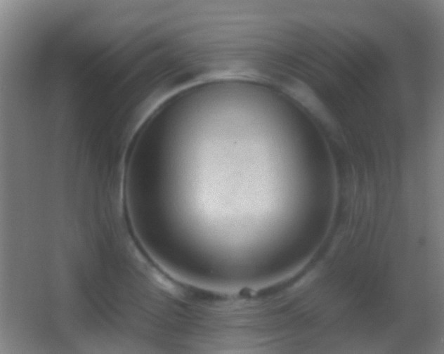 X0000062881228200601131300