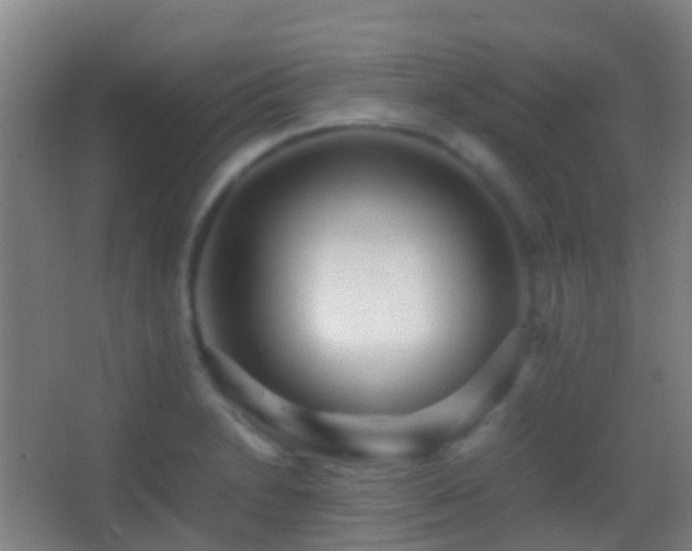 X0000062881230200601131300