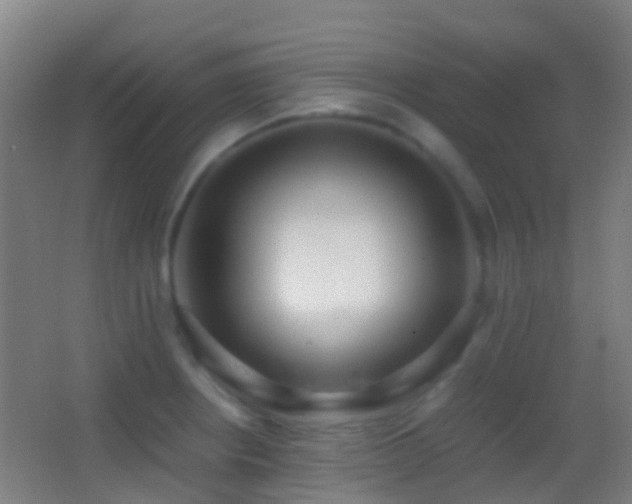 X0000062881234200601131300