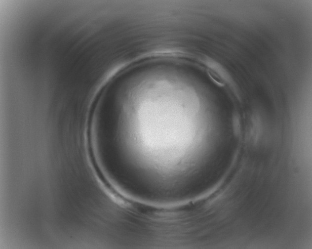 X0000062881237200601131300