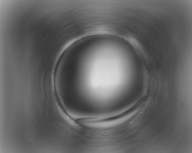 X0000062881238200601131300
