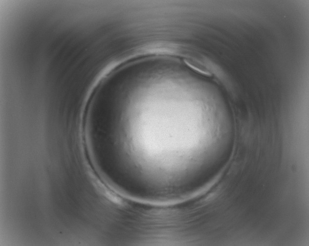 X0000062881240200601131300