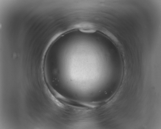 X0000062881248200601131300
