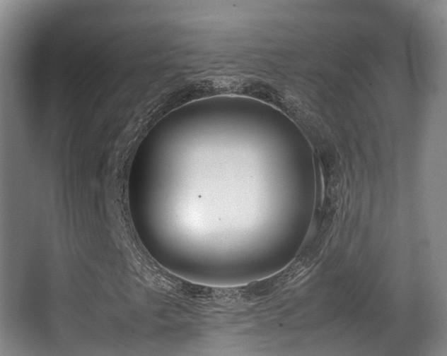 X0000062881249200601131259