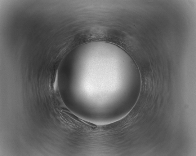 X0000062881250200601131259