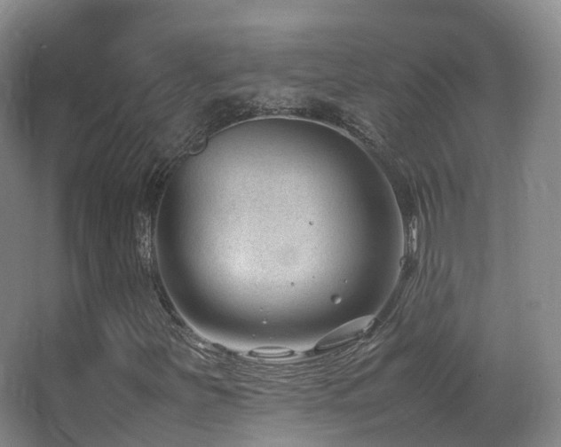 X0000062881251200601131259