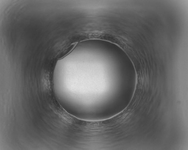 X0000062881252200601131259