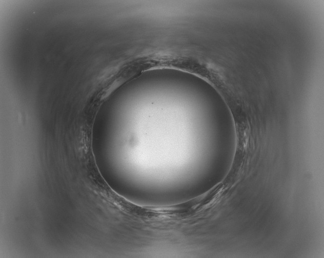 X0000062881253200601131259