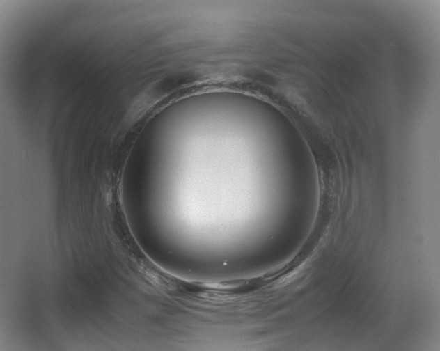 X0000062881257200601131259