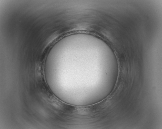 X0000062881258200601131259