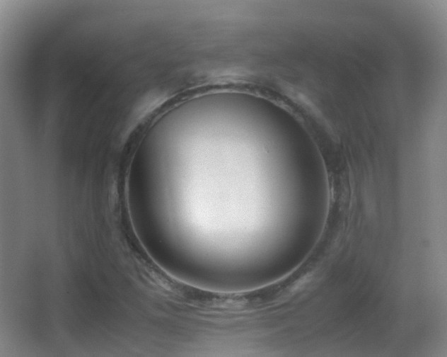 X0000062881261200601131259