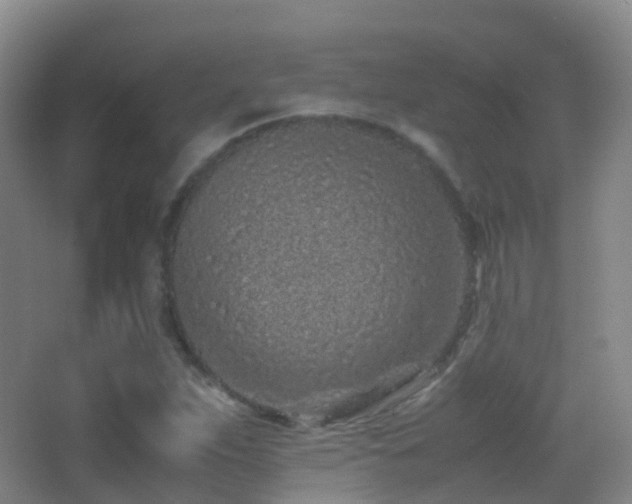 X0000062881263200601131259