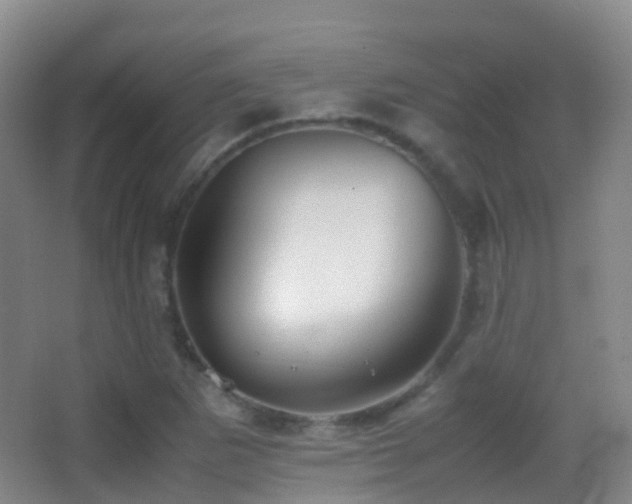 X0000062881265200601131259