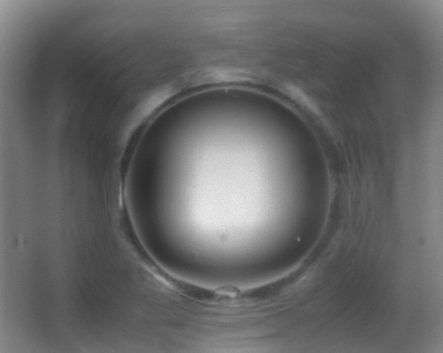 X0000062881269200601131259