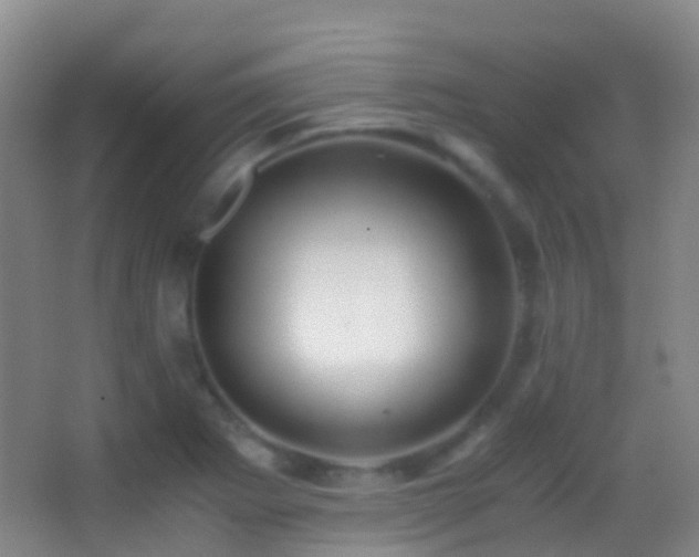 X0000062881273200601131259