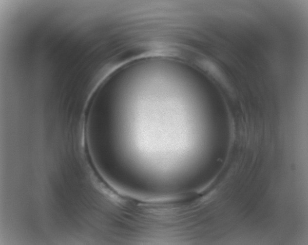 X0000062881276200601131259