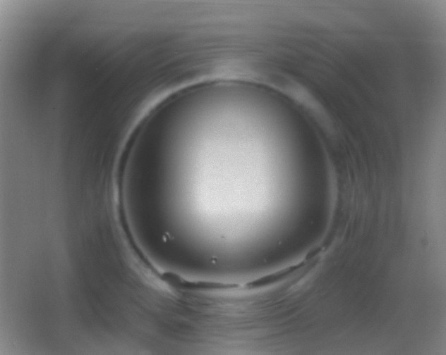 X0000062881280200601131259