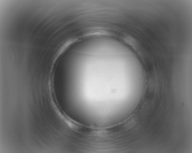 X0000062881282200601131259