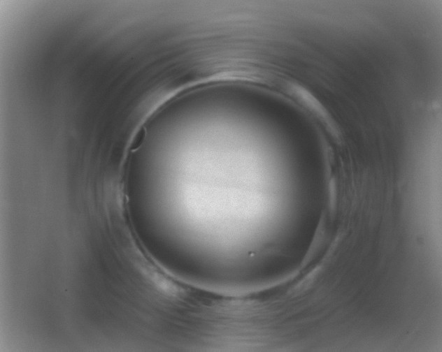 X0000062881284200601131259
