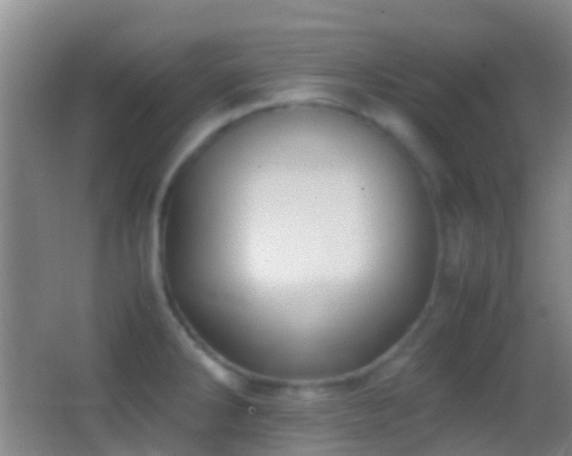 X0000062881286200601131259