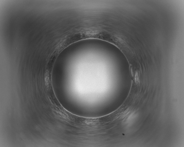X0000062881299200601131258