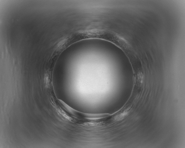 X0000062881300200601131258