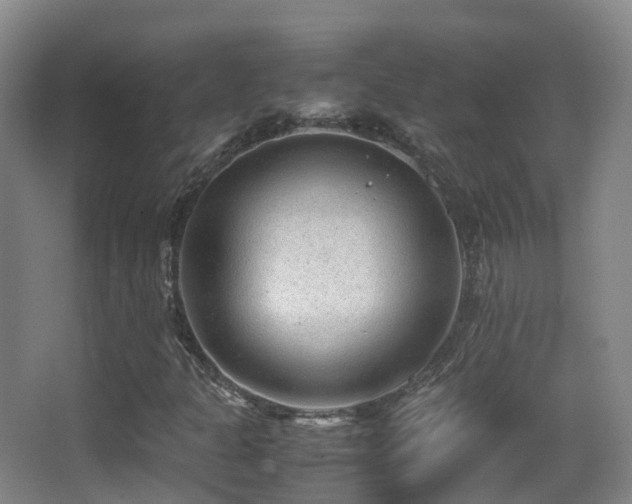 X0000062881301200601131258