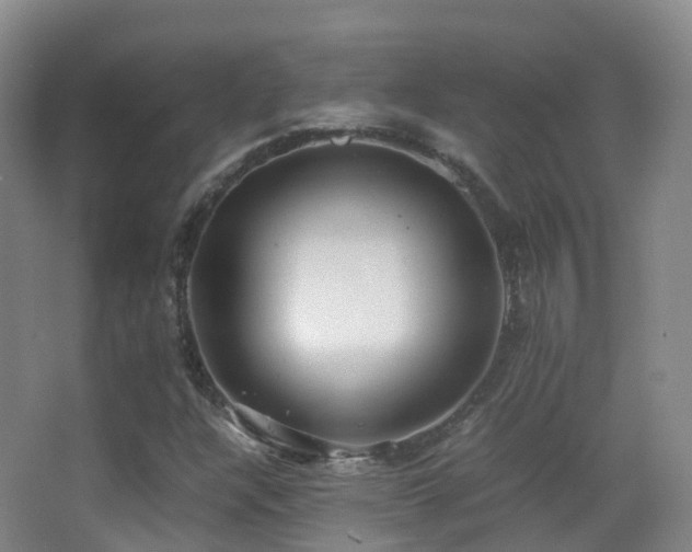 X0000062881304200601131258