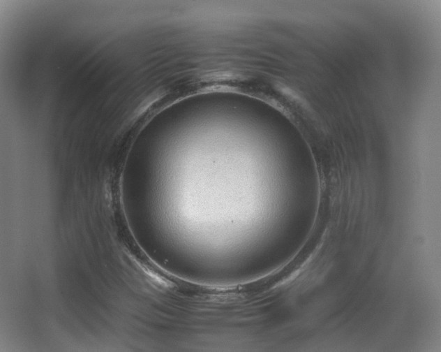 X0000062881305200601131258
