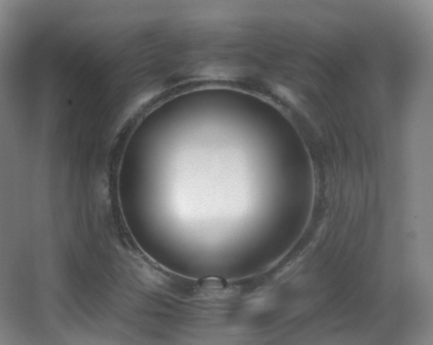 X0000062881307200601131258