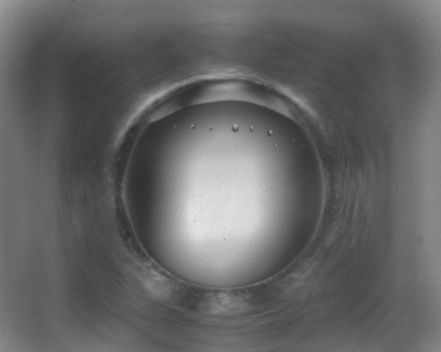 X0000062881311200601131258