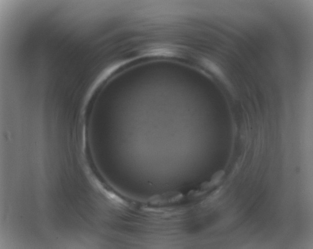X0000062881323200601131258