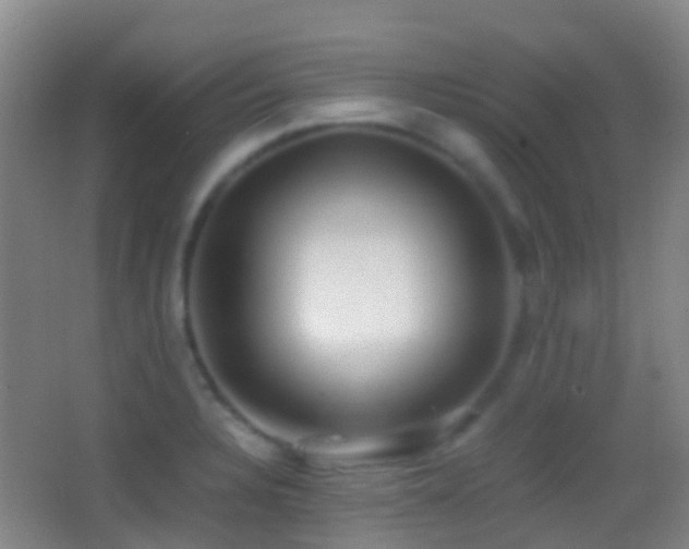 X0000062881328200601131258