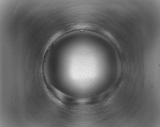 X0000062881330200601131258