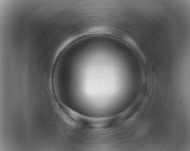 X0000062881336200601131258