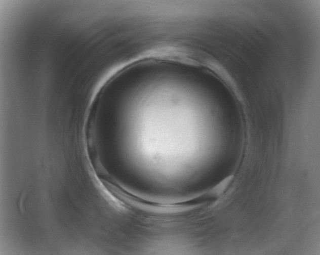 X0000062881344200601131259