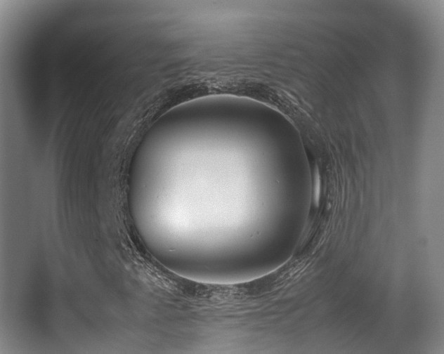 X0000062881345200601131258