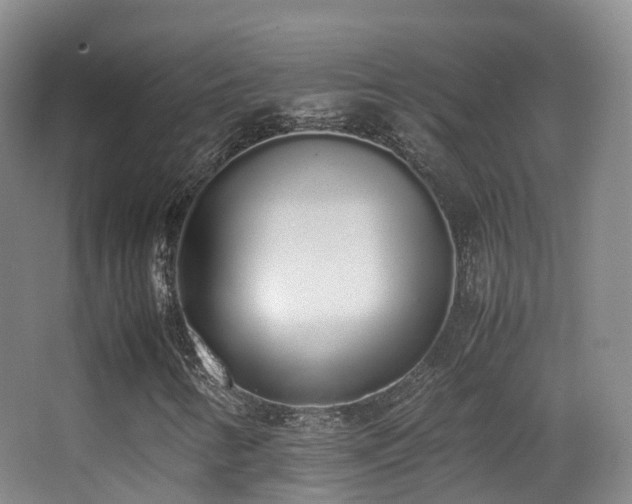 X0000062881346200601131258