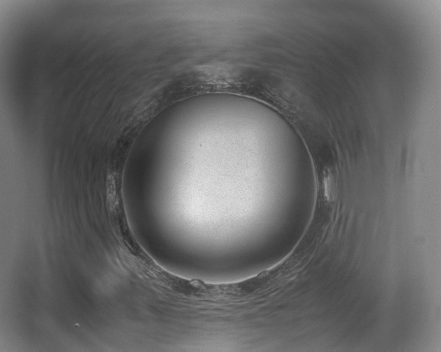 X0000062881347200601131258
