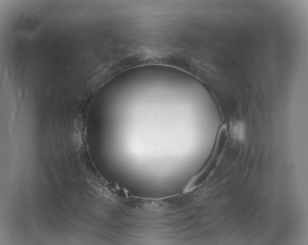 X0000062881348200601131258