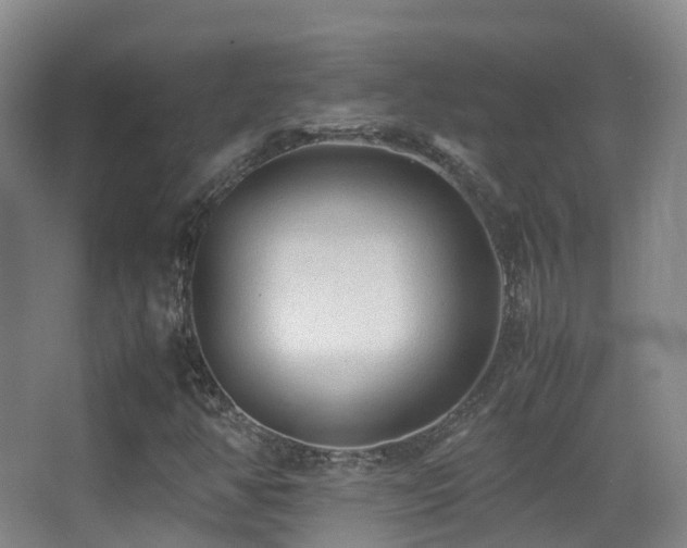 X0000062881350200601131258