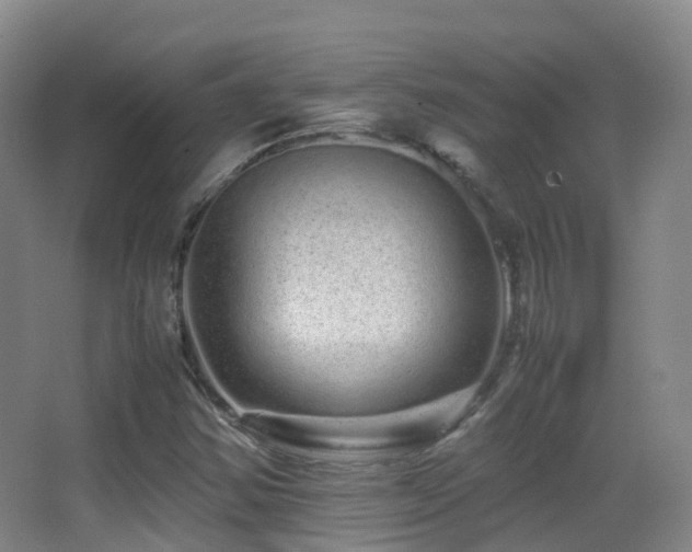 X0000062881354200601131258