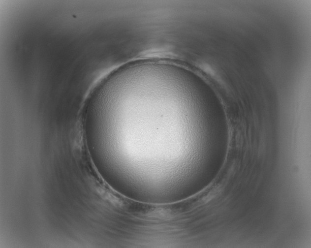 X0000062881358200601131258