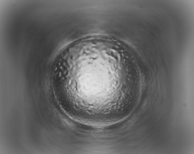 X0000062881359200601131258